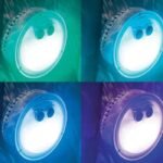Pack Spa Gonflable Sahara 4 places + Accessoires - Image 3